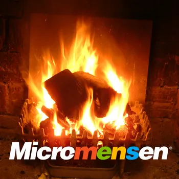Micromensen - De Fireside Chats