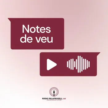 Notes de veu