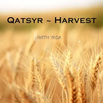 Qatsyr - Harvest - With Yada