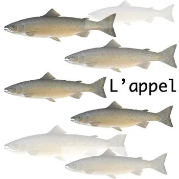 L'appel