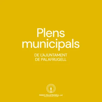 Plens municipals