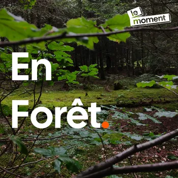 En Forêt