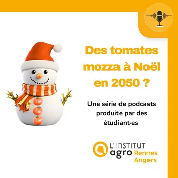 Des tomates mozza à Noël en 2050 ?