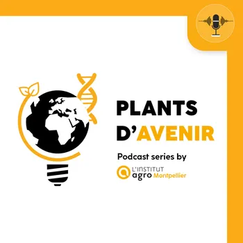 Plants d'avenir
